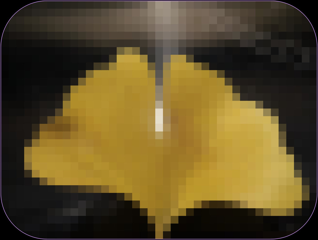 Ginkgo pixel