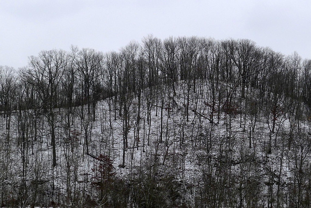 A hill in winter