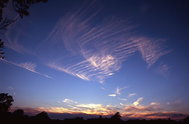 herringbone sky