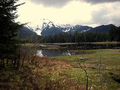 Day 6: Muskeg Pond