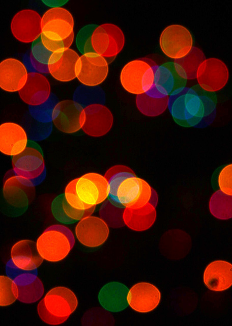 Christmas Lights 3