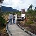 Day 6: Nature Walk on the Muskeg