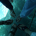 My friend / Mon amie Mpé - Les pieds en étoiles et la tête dans l'aquarium /  Starry Feet with head in aquarium  - 20 juillet 2010