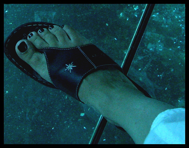 My friend / Mon amie Mpé - Les pieds en étoiles et la tête dans l'aquarium /  Starry Feet with head in aquarium  - 20 juillet 2010 - Recadrage