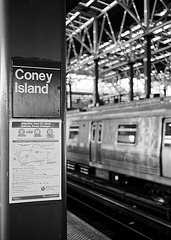 Coney Island (6)