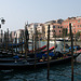 Venice (4)