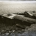 Shetland series