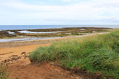 Strand südl. von St. Andrews