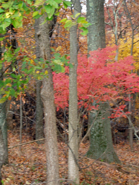 harpers Ferry 036