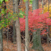 harpers Ferry 036