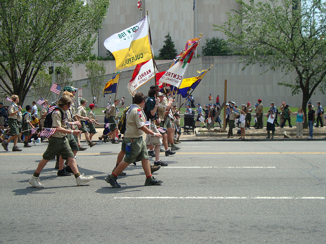 boy scouts 316