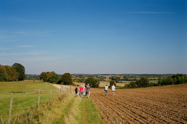 Out walking