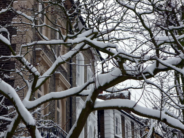 Snow, tree, houses
