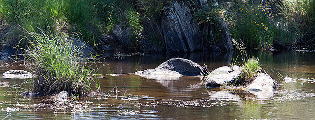 20120518 0250RAw [E] Rio Almonte