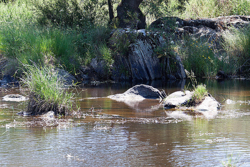 20120518 0251RAw [E] Rio Almonte