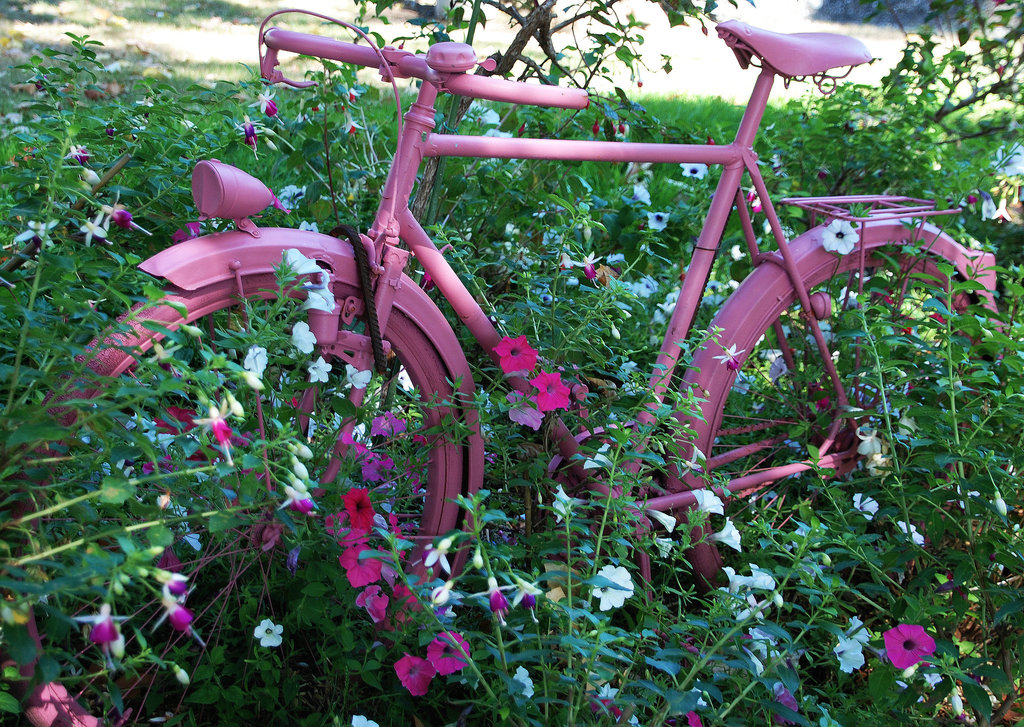 Vélo tout-terrain