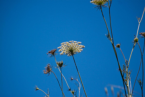 20120518 0257RAw [E] Rio Almonte