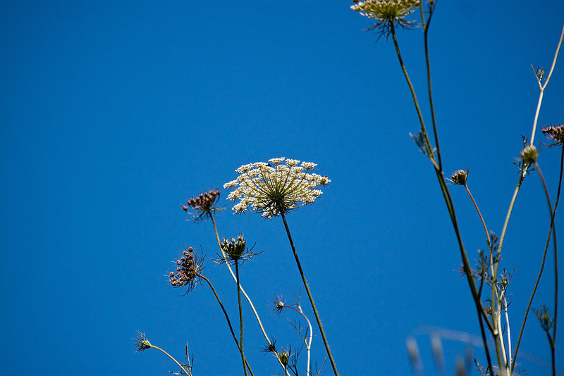 20120518 0257RAw [E] Rio Almonte