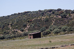20120518 0263RAw [E] Stall, Rio Almonte, EX208, Extremadura