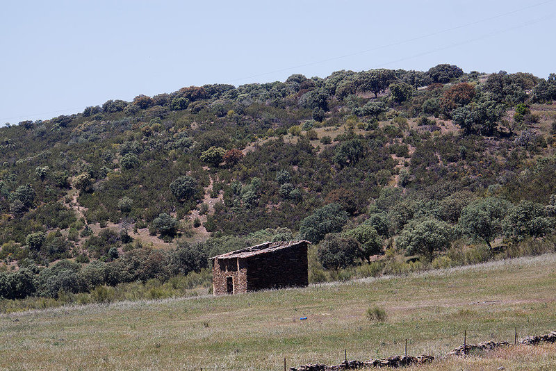 20120518 0263RAw [E] Stall, Rio Almonte, EX208, Extremadura