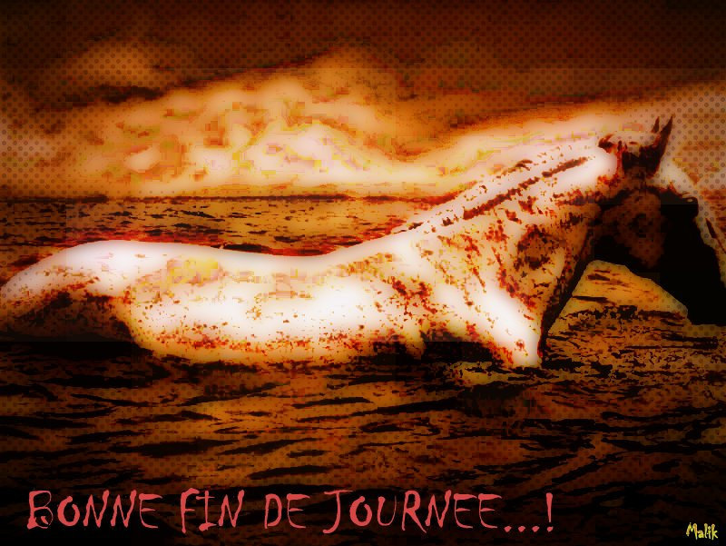 Bonne soiree.!