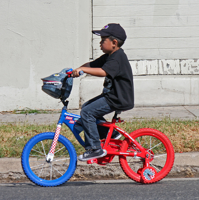 CicLAVia (7061)