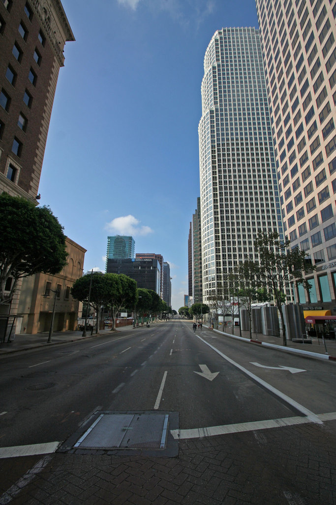 Figueroa (6915)