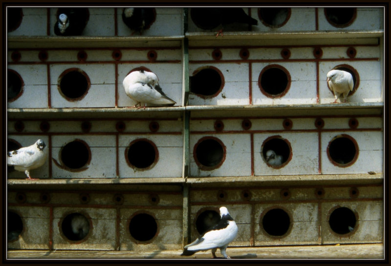 Pigeonnier