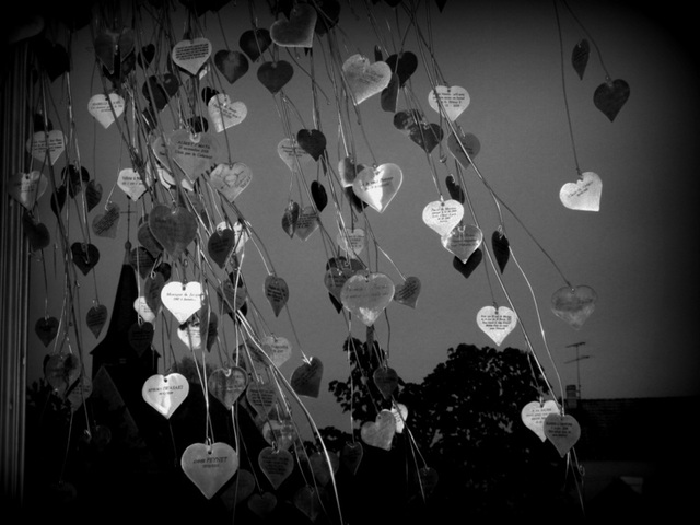 pluie de petits coeurs