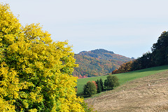 Herbst - 121020