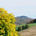 Herbst - 121020