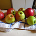 Some apples I've just picked