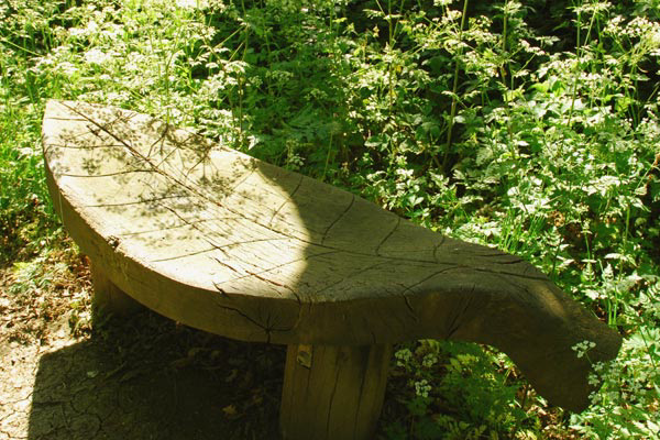 woodland bench 1