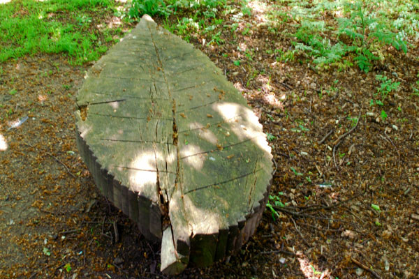 woodland bench 3