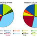 American Drug Arrest Percentages For 2011