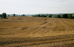 Hertfordshire footpath