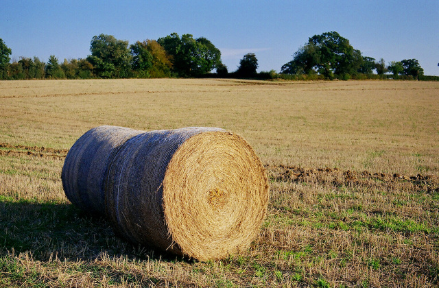 Strawbale (1)