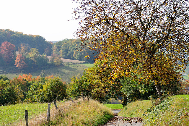 Spaziergang - 121020