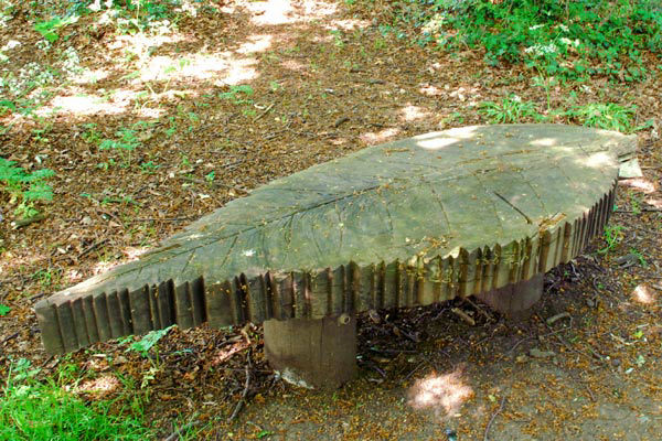 woodland bench 2