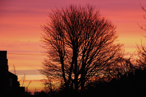 London January dawn