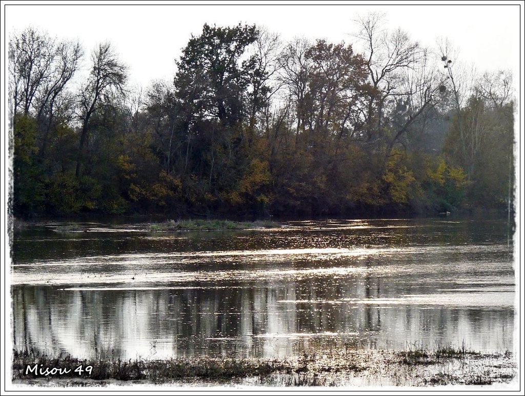 LA LOIRE