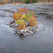 harpers Ferry 054