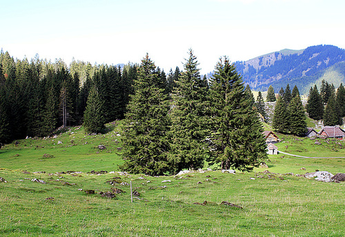 Schwägalp am Säntis