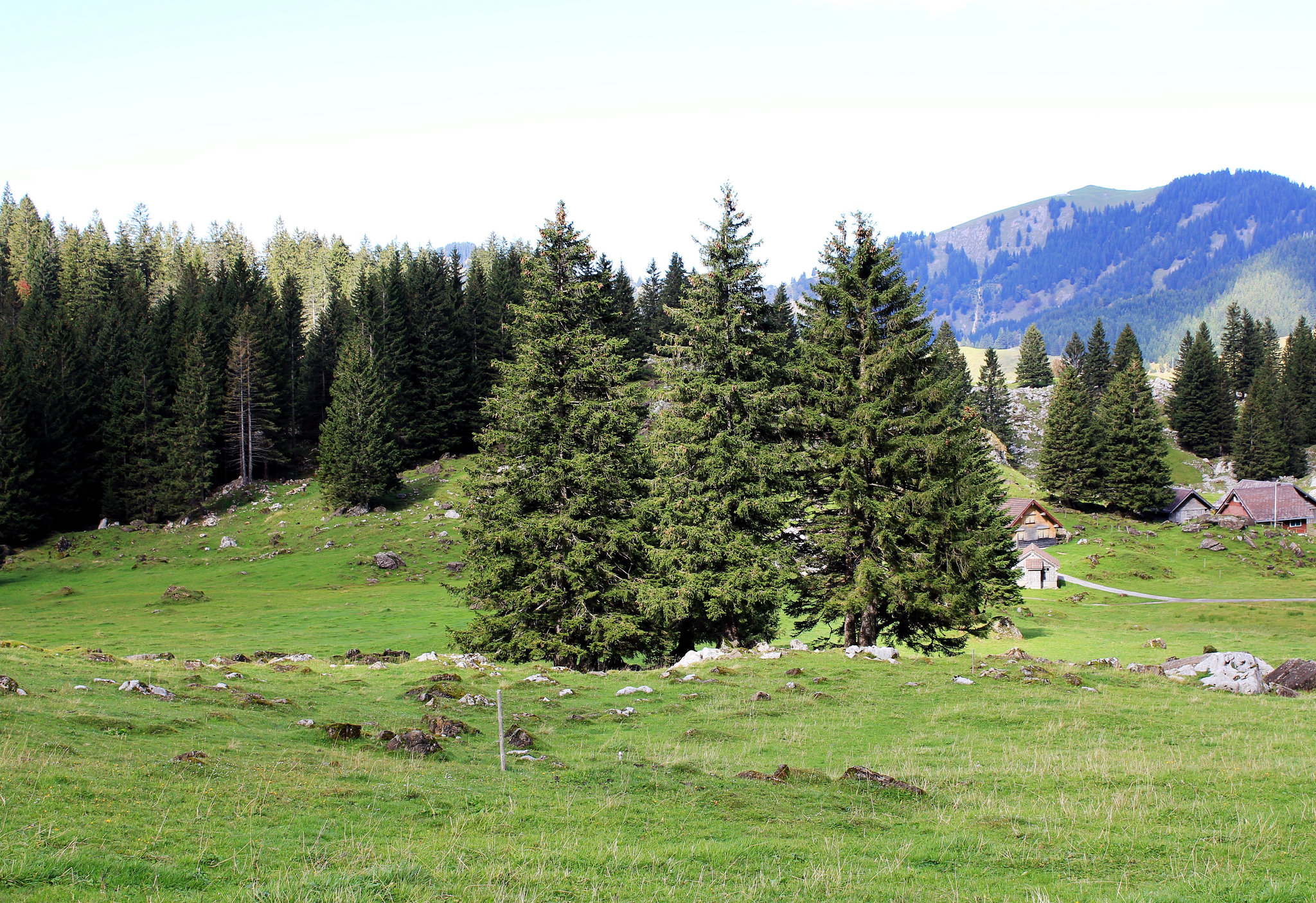 Schwägalp am Säntis