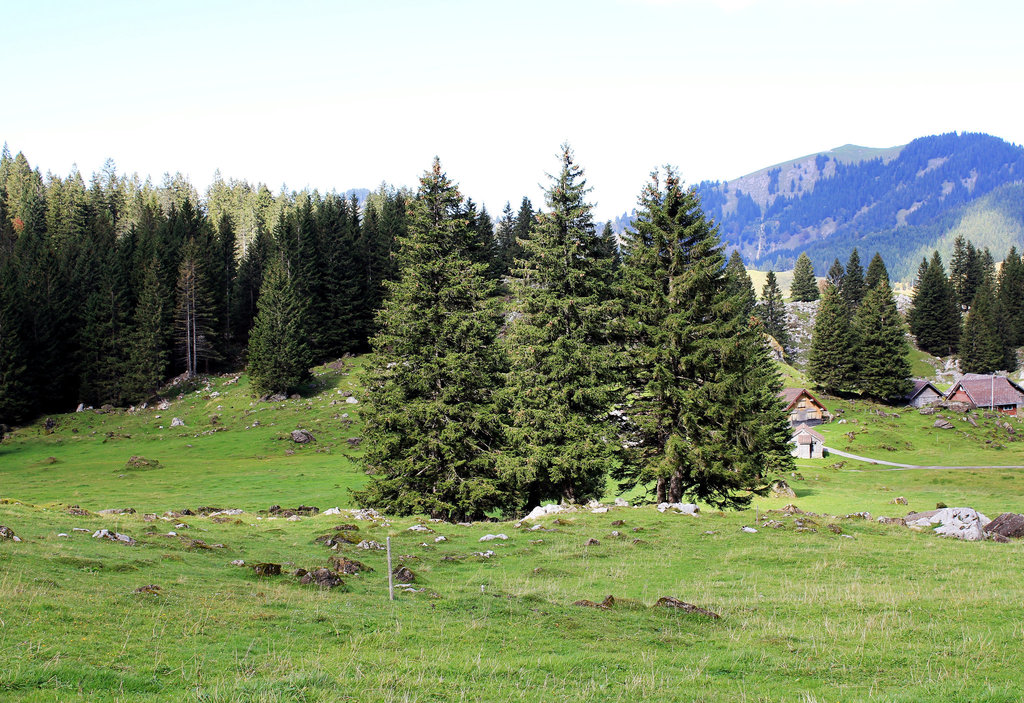 Schwägalp am Säntis