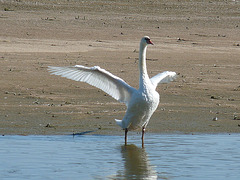 LA LOIRE