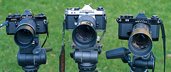 Pentax 200mm lenses (1)