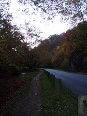 P1010154