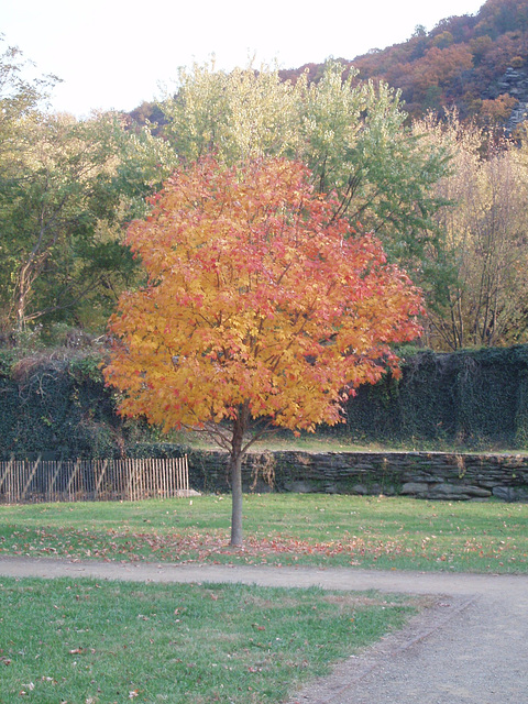 harpers Ferry 080