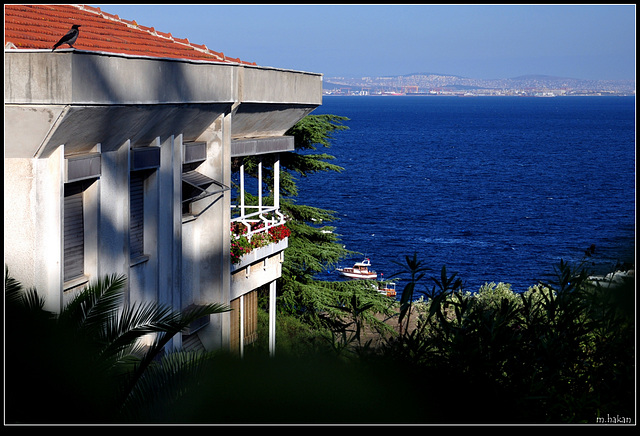 Büyükada/ Istanbul..